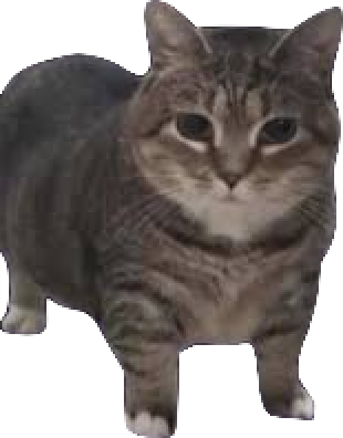 Ethel the oo ii aa cat